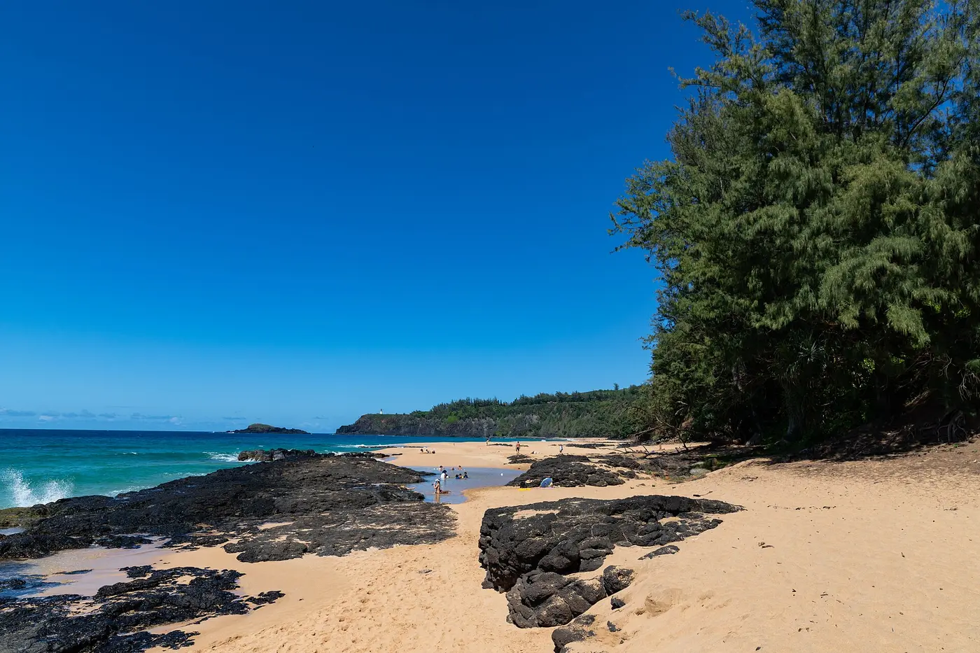 Exploring Kauapea Beach: A Secret Beach of Kauai
