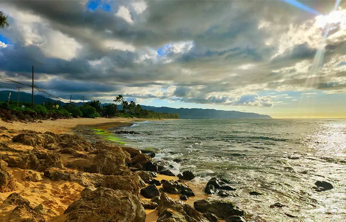 Laniakea Beach: What You Need to Know Before You Go
